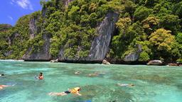 snorkeling phi phi island