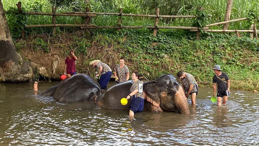 kanta elephant sanctuary full day tour