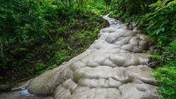 bua tong sticky waterfalls, jungle trekking chiang mai