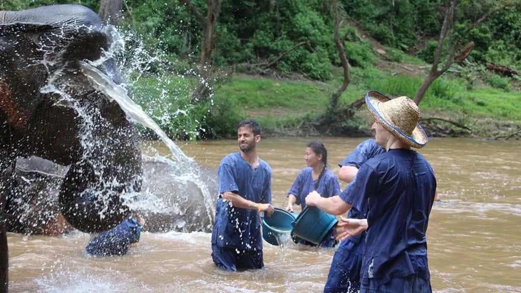 mae taeng river whitewater kayaking and elephant care