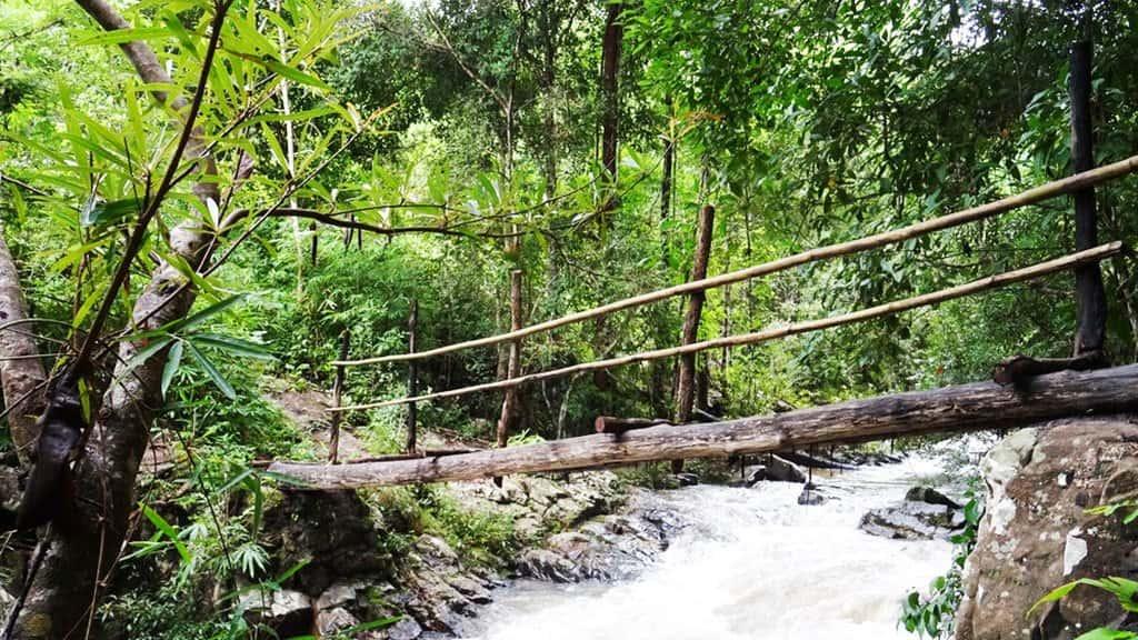 one day jungle trek, mae wang national park chiang mai