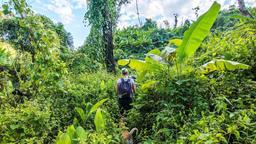 one day jungle trek, mae wang national park chiang mai