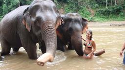 white water rafting and elephant care