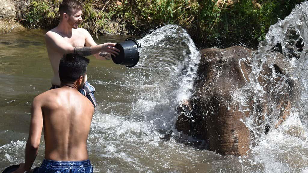 full day elephant sanctuary chiang mai
