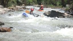 white water kayaking, mae wang river, chiang mai