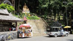 biking downhill road, above chiang mai