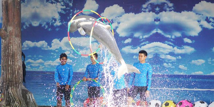 pattaya dolphin world, show ticket