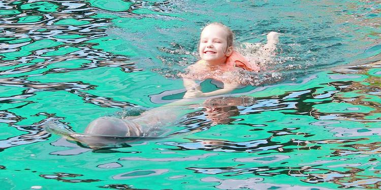 swim with dolphins, pattaya dolphin world