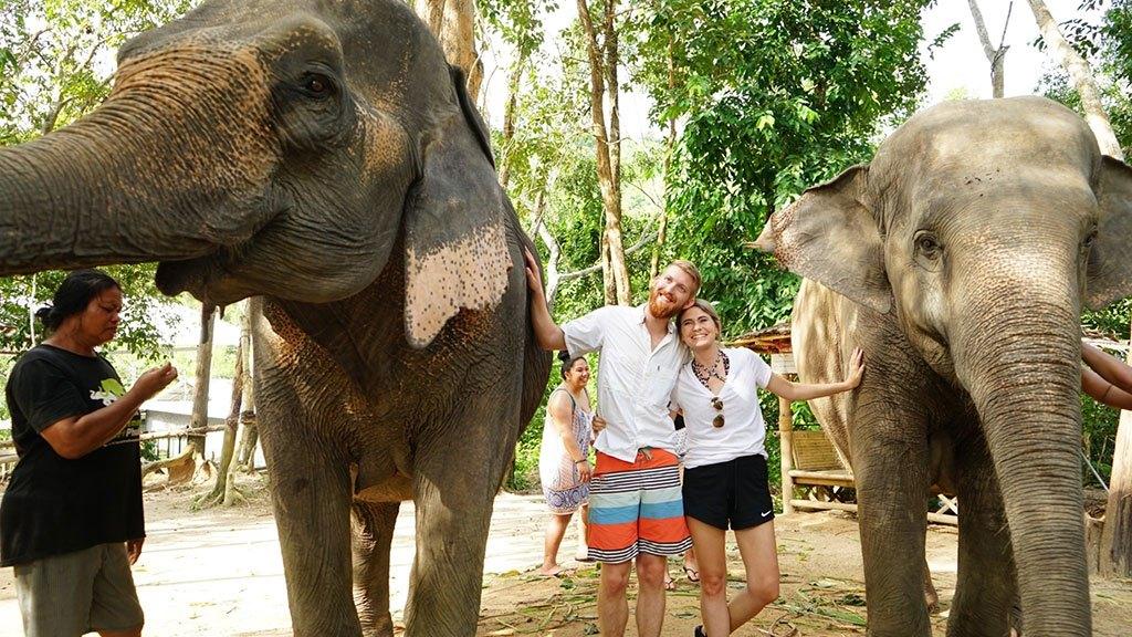 elephant retirement park phuket, elephant care park phuket