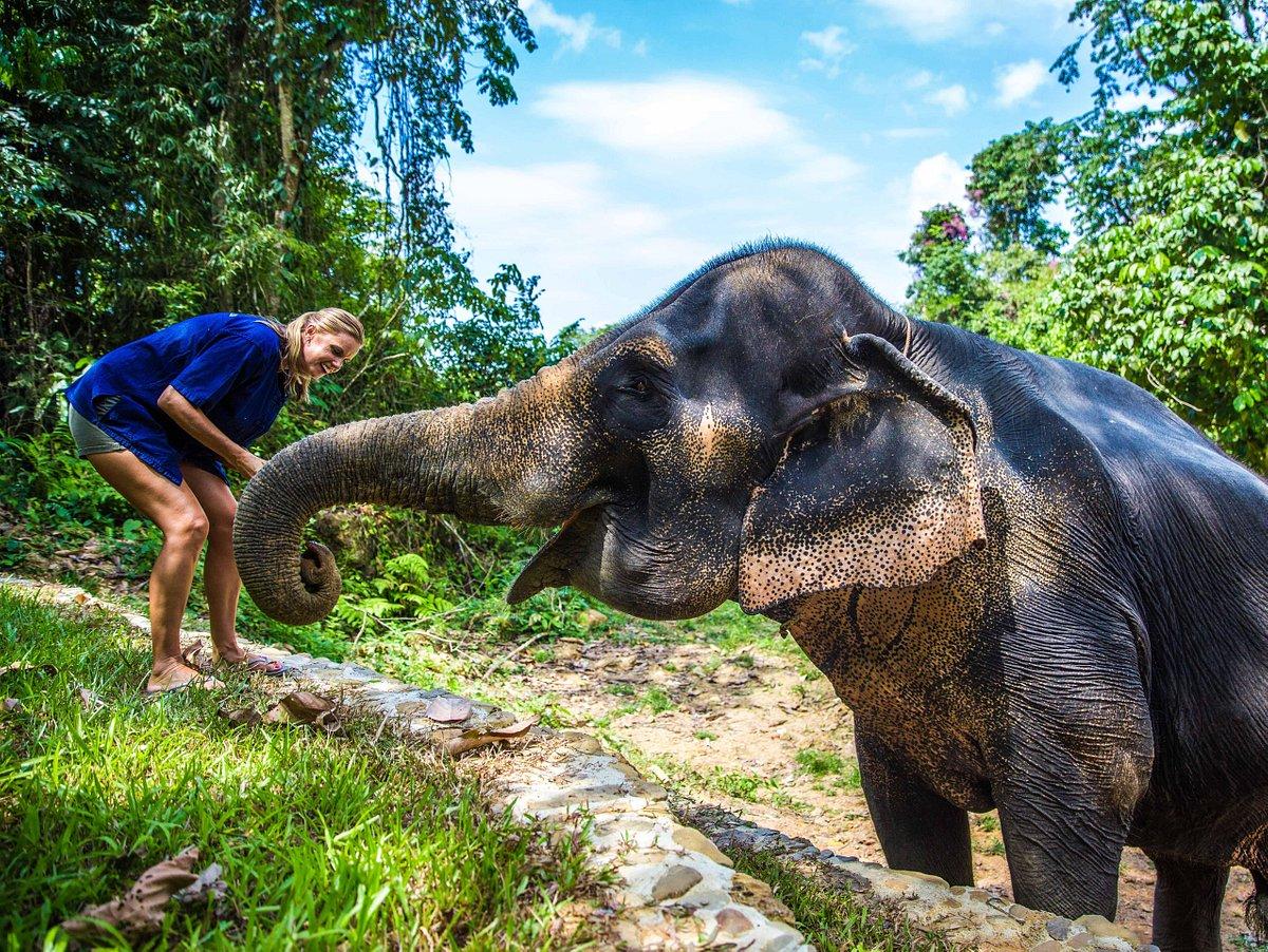 Koh Phangan Elephant Sanctuary