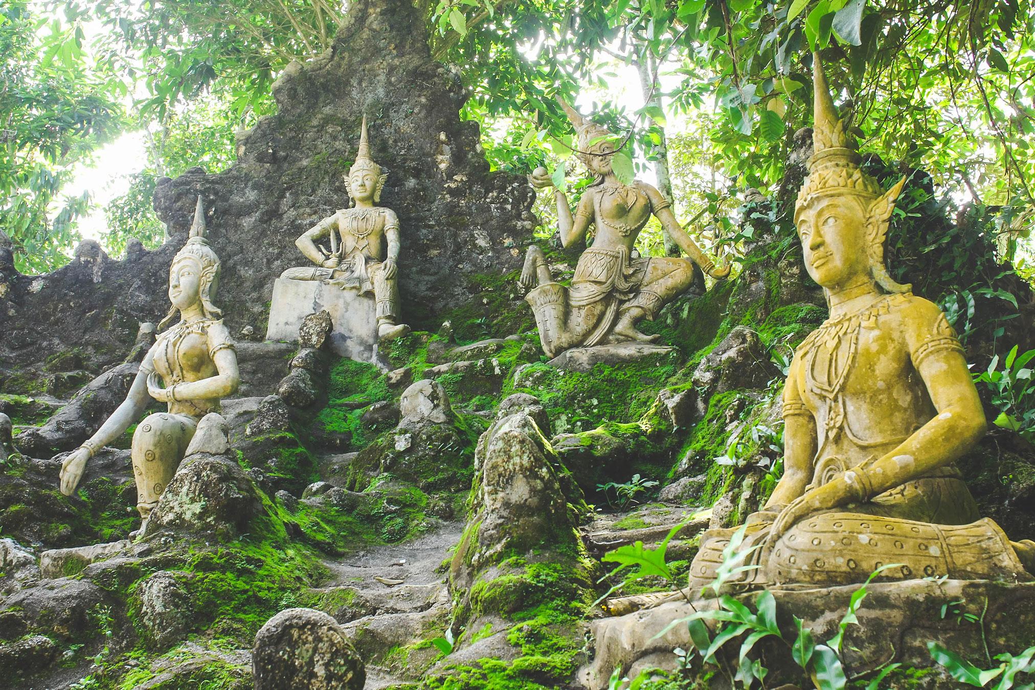 The Secret Buddha Garden